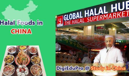 Halal Food in China