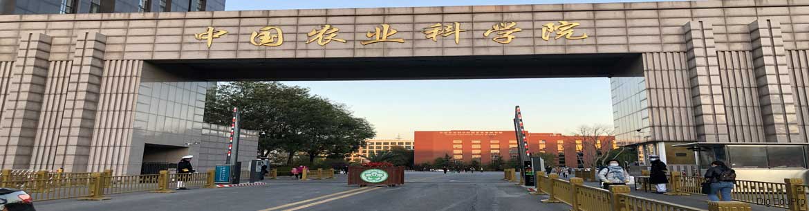 Chinese-academy-of-agricultural-sciences-scholarships-2021