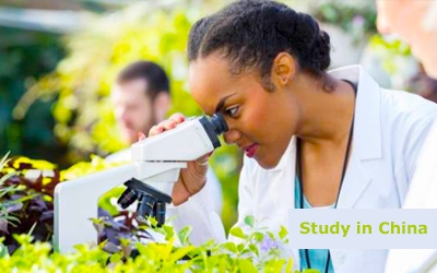 Food and agriculture study in china-x