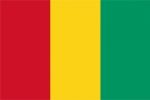 Guinea Flag