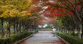 Henan_University_of_Science_and_Technology-campus3