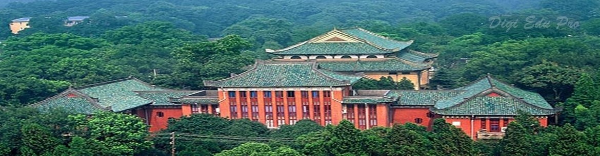 Hunan University