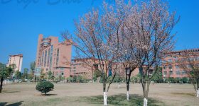 Jingdezhen-Ceramic-Institute-Campus-2