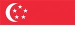 Singapore Flag