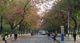 South_China_Normal_University-campus4