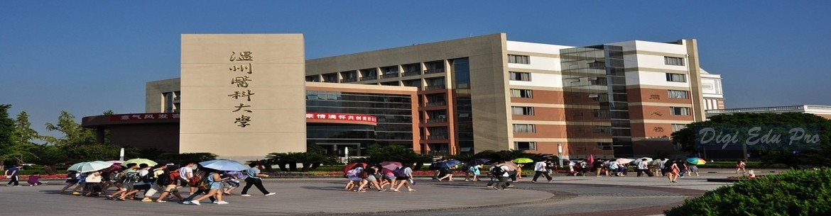 Wenzhou Medical College