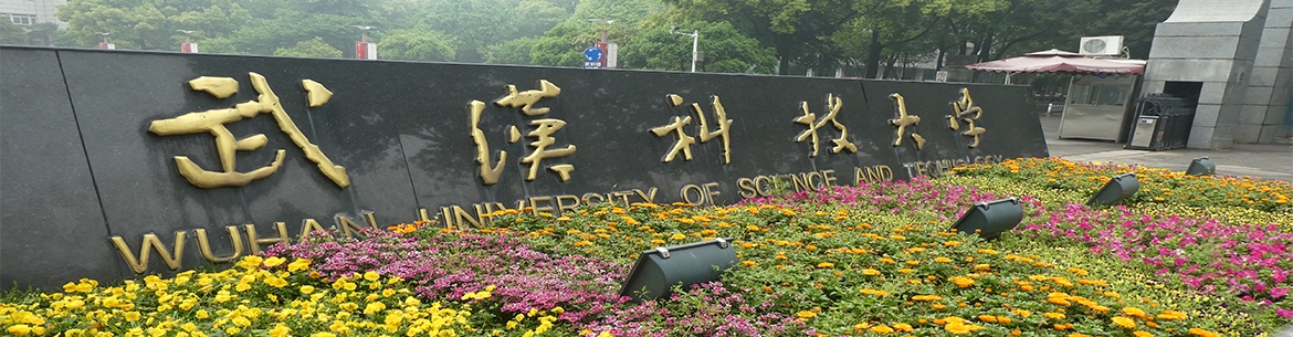 Wuhan_University_of_Science_and_Technology-slider1