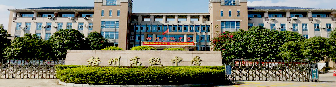 Wuzhou University