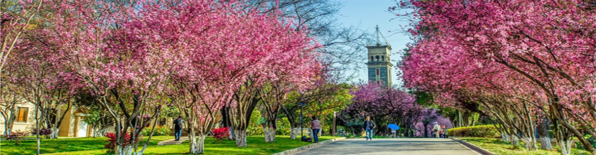 Yunnan University